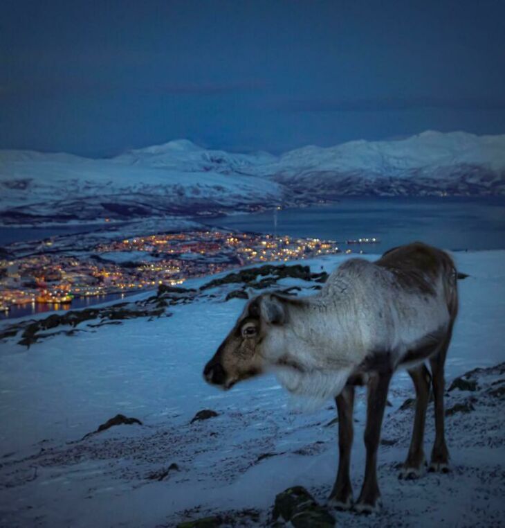 Paisajes De Noruega