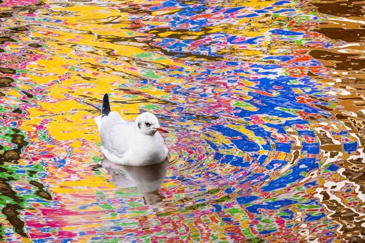  Fotógrafo de la Naturaleza del Año 2024