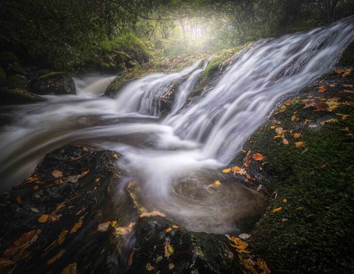  Fotógrafo de la Naturaleza del Año 2024