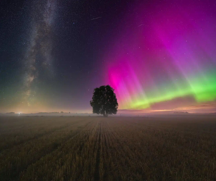 Fotógrafo de auroras boreales del año 2024