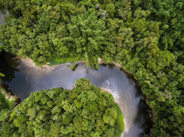 Bosques Antiguas, La selva amazónica, América del Sur