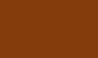 El test de inteligencia del color: marrón