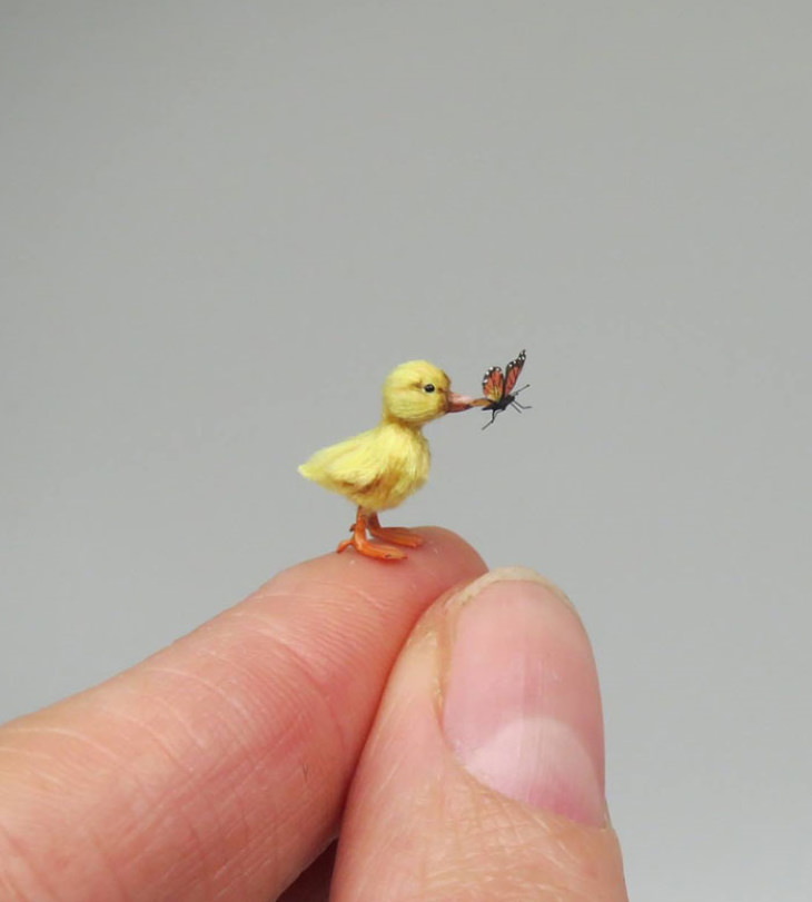 Creaciones De Animales En Miniatura