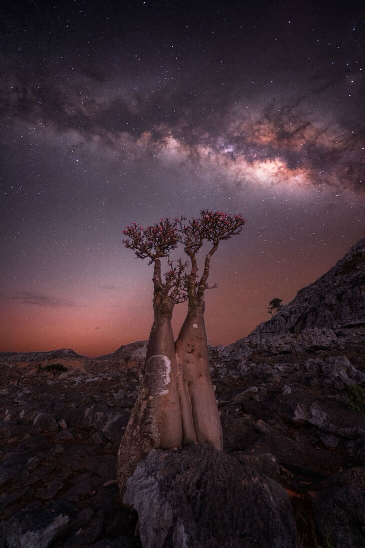 2024 Milky Way Photographer of the Year