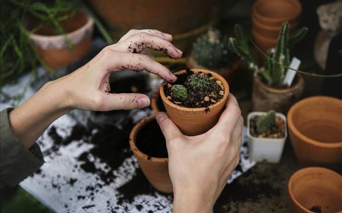 una mujer plantando una planta en maceta