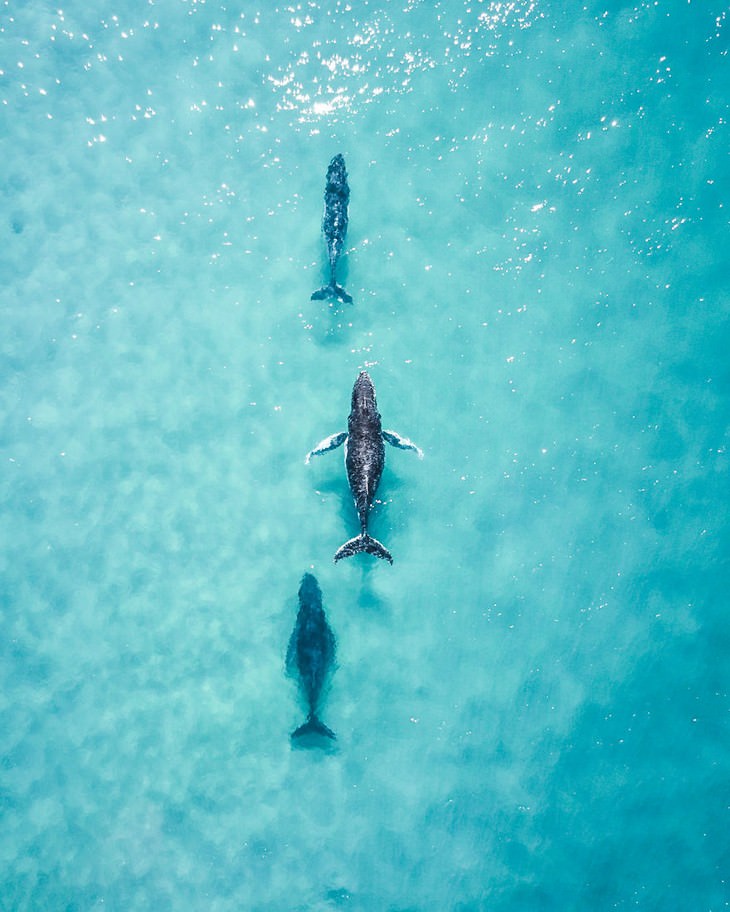   Concurso De Fotografía Del Agua 