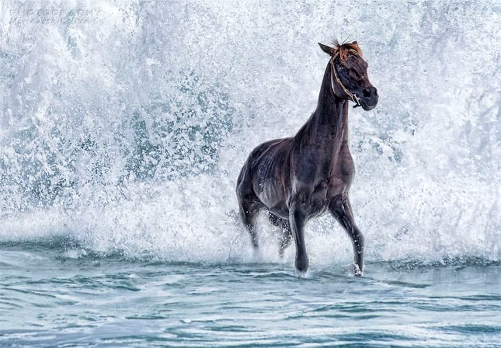  Concurso De Fotografía Del Agua 