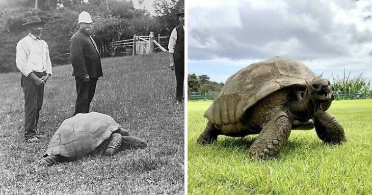 Fotografías Antiguas 