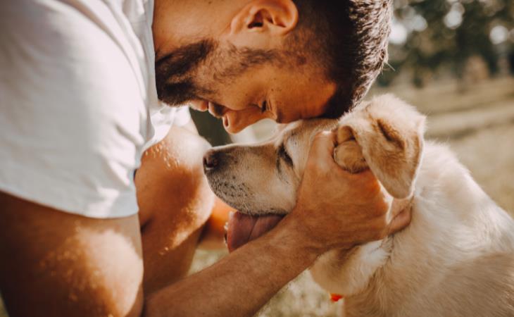 Signos De Cáncer En Perros