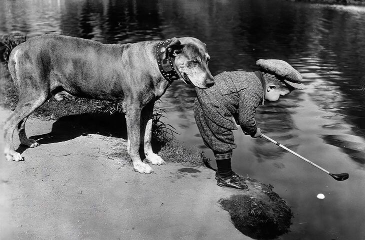 Fotos Antiguas De Perros y Sus Mascotas