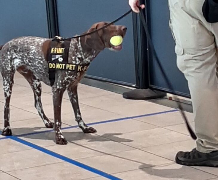 Fotos Divertidas De Los Aeropuertos