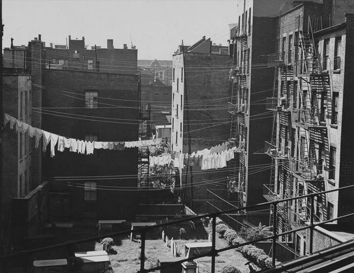 New York, retronaut, black and white, photography