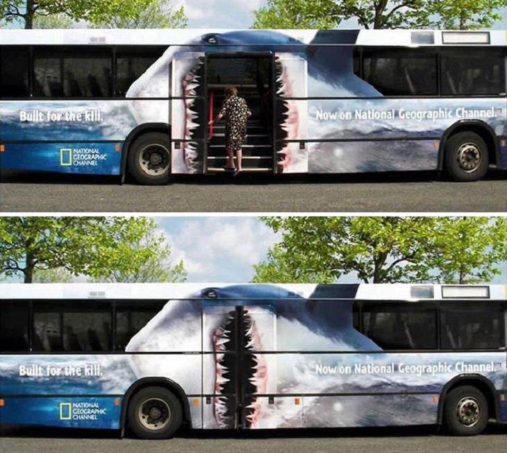 Autobuses Creativos