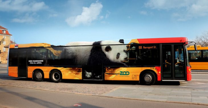 Autobuses Creativos