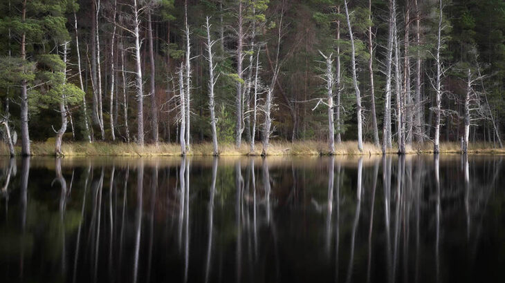  Fotógrafo de paisaje escocés