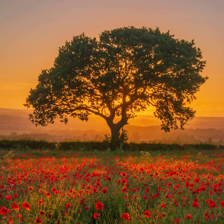  Fotógrafo de paisaje escocés