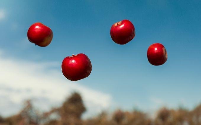 Trivia de nivel fácil a difícil: Manzanas que caen