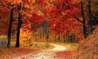 ¿En qué momento del día estás? Un camino en la naturaleza en otoño.