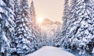 ¿En qué momento del día estás? Un camino en la naturaleza en invierno.