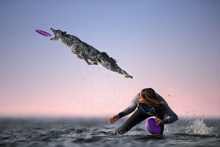  Premios Internacionales de Fotografía Canina