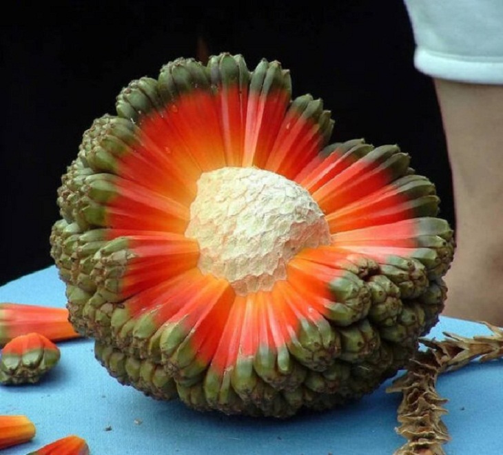 Increíbles Fotos De La Naturaleza