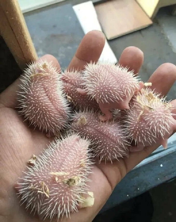 Increíbles Fotos De La Naturaleza