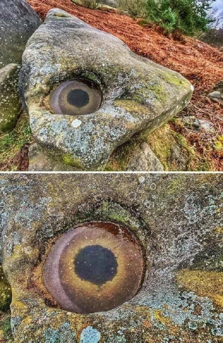 Increíbles Fotos De La Naturaleza