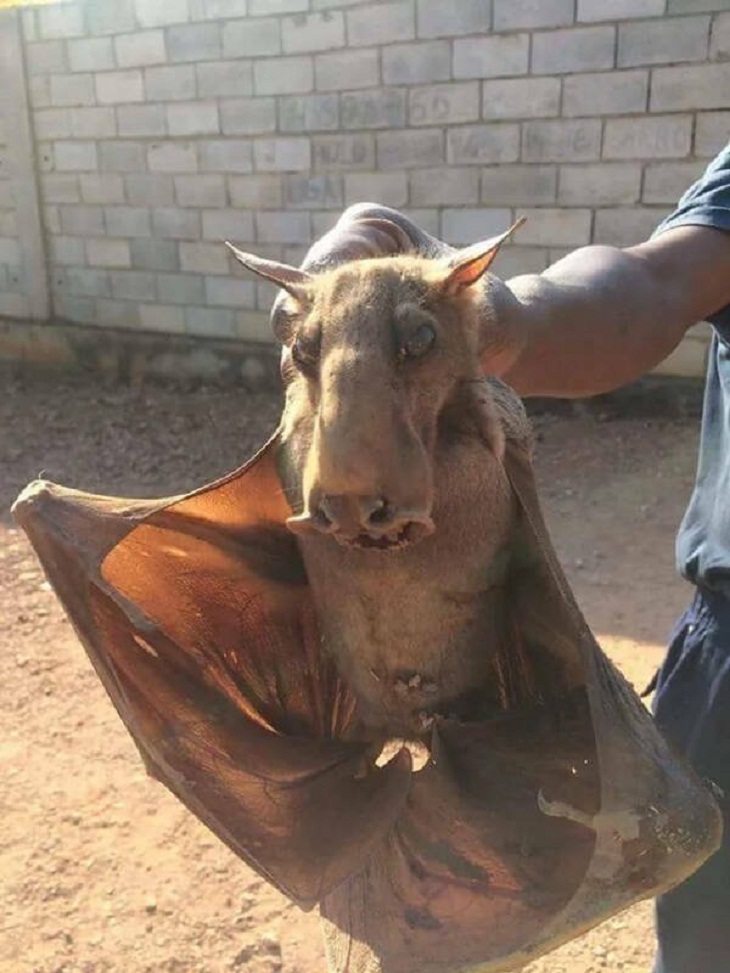 Increíbles Fotos De La Naturaleza