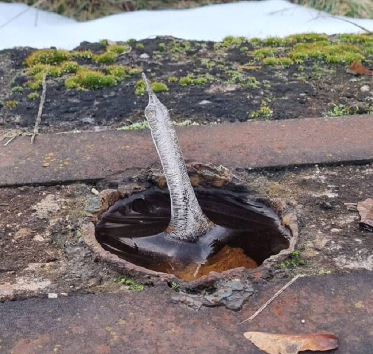 Increíbles Fotos De La Naturaleza