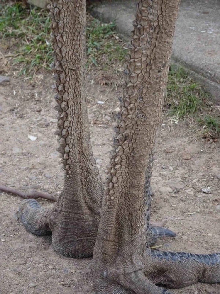 Increíbles Fotos De La Naturaleza