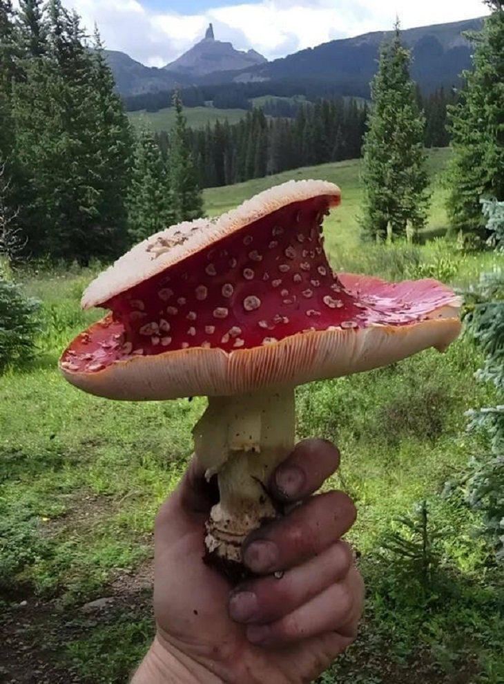 Increíbles Fotos De La Naturaleza