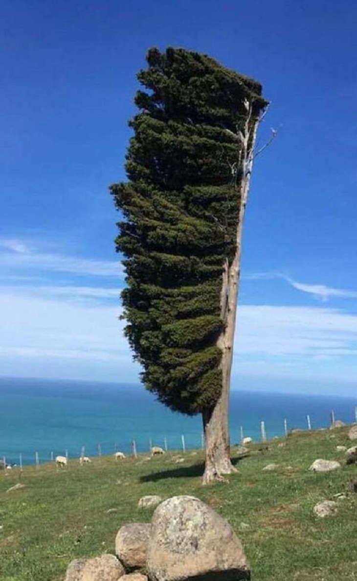 Increíbles Fotos De La Naturaleza