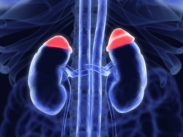 Adrenal Insufficiency