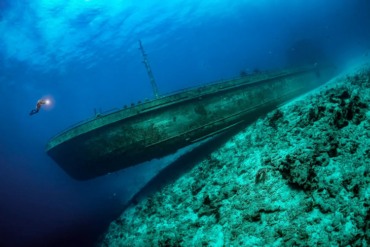 Fotógrafo Del Océano Del Año 2024