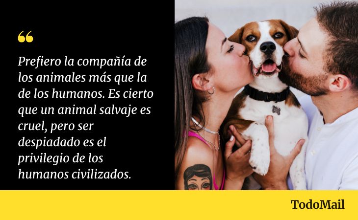 Frases De Freud