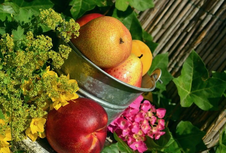 Cómo Aprovechar La Fruta Madura