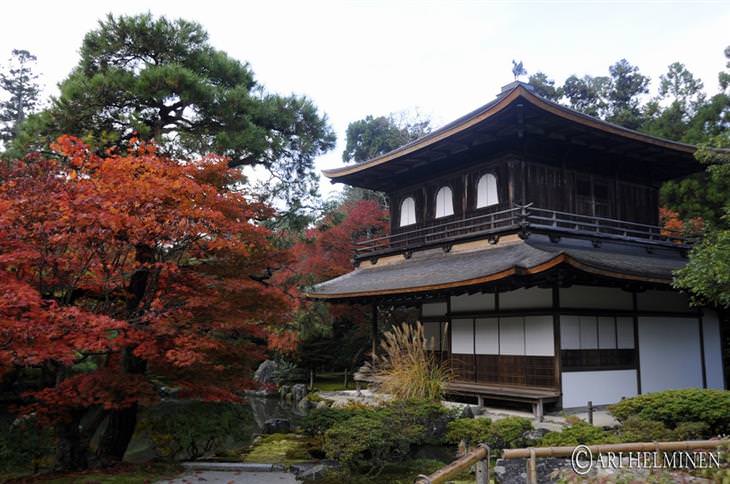 Atracciones En Tokio En Japón