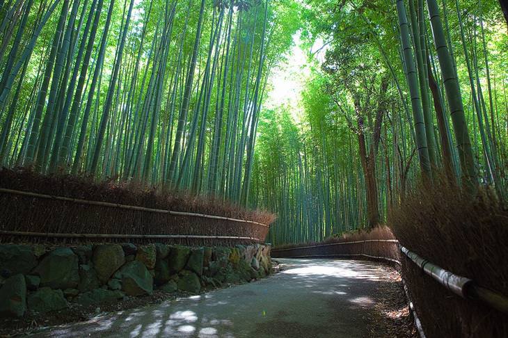 Atracciones En Tokio En Japón