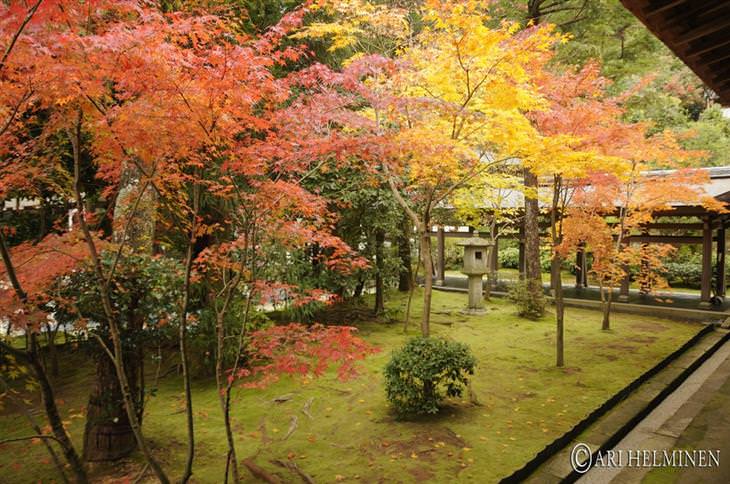 Atracciones En Tokio En Japón