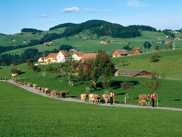 Fotografías De Suiza