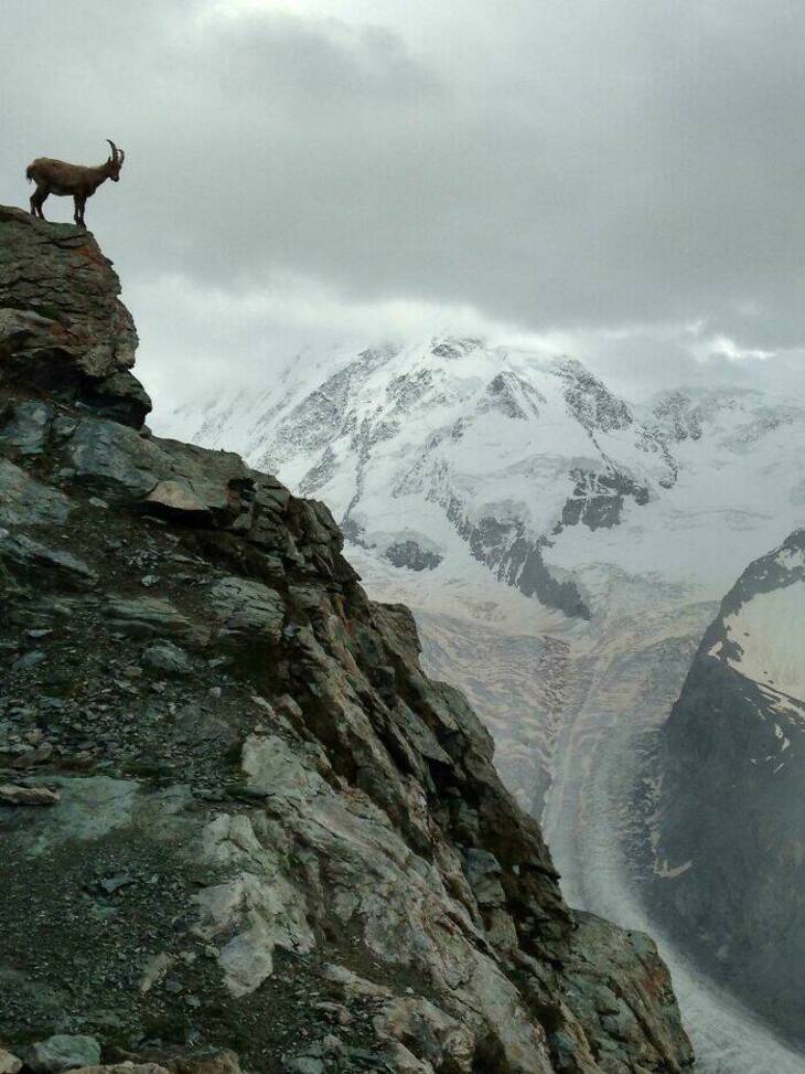 Maravillas De Nuestro Planeta