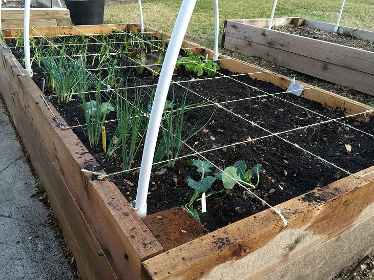 Métodos De Jardinería Inusuales