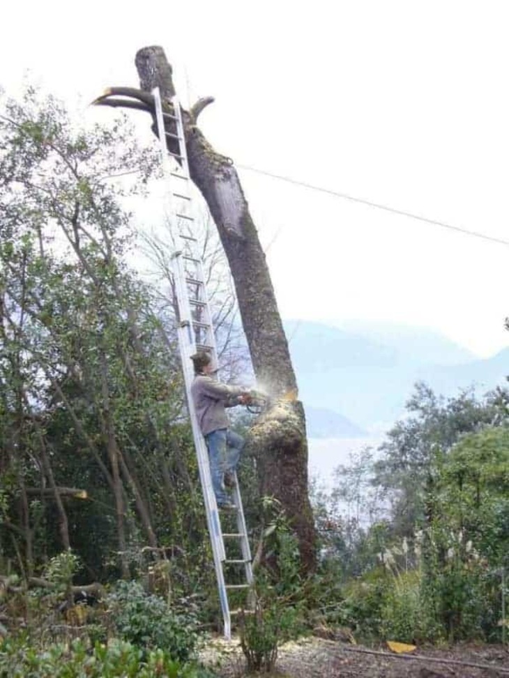 Fallos En La Seguridad