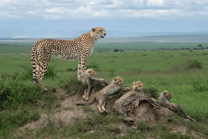 Smithsonian Magazine’s Award Winners