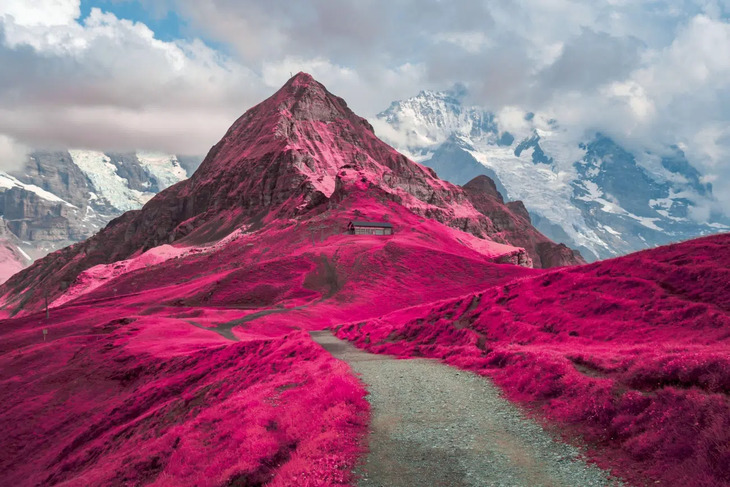 Ganadores Del Concurso De Fotografía Infrarroja