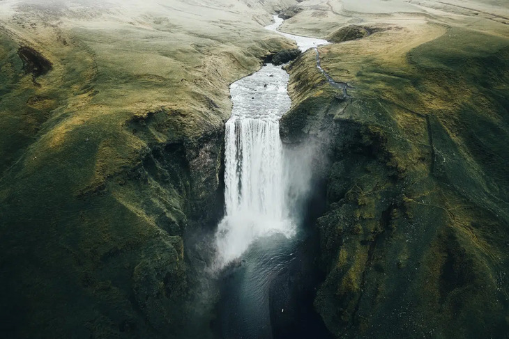 Ganadores Del Concurso De Fotografía Infrarroja