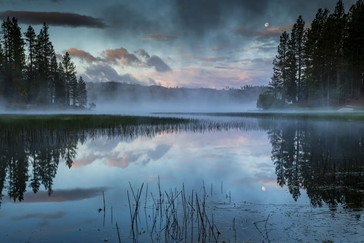 Ganadores Del Concurso De Fotografía Infrarroja