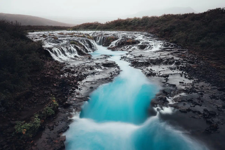 Ganadores Del Concurso De Fotografía Infrarroja