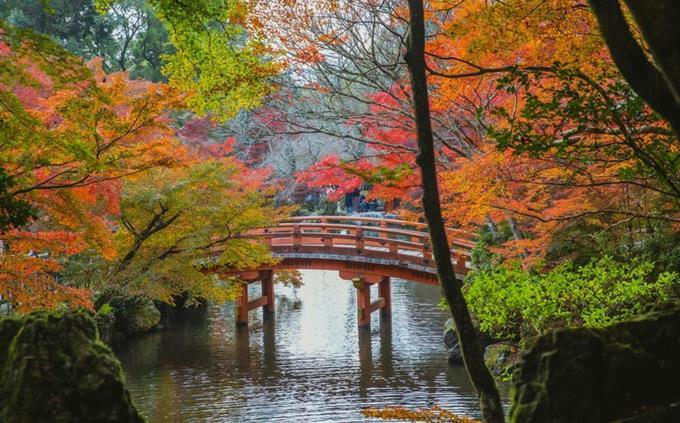 Prueba de resistencia interna: un puente en el jardín