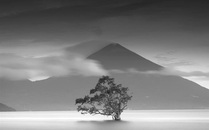 Prueba de resistencia interna: árbol y pirámide en blanco y negro